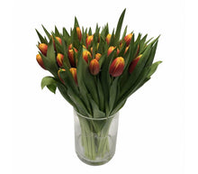 Load the image into the gallery viewer, Tulips Dow Jones (Orange-Gelb)