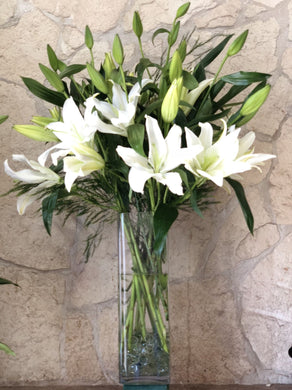 Oriental Lilies