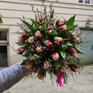 Bouquet of tulips Gibraltar