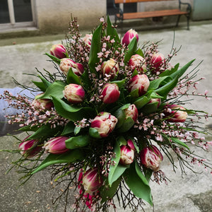 Bouquet of tulips Gibraltar