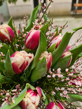 Load the image into the gallery viewer, Bouquet of tulips Gibraltar