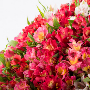 Alstroemeria bouquet