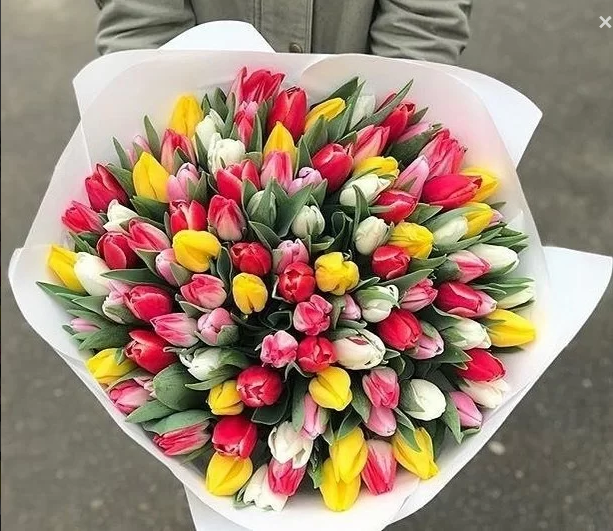 101 Stk bunte Tulpen