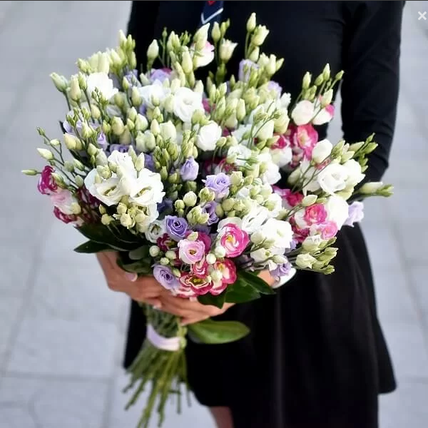 Eustoma Strauß