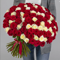 51 Rot-Weiße Rosen